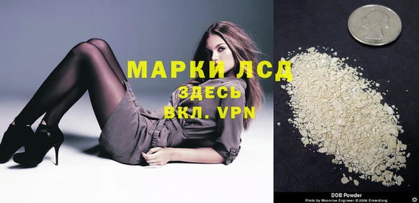 дживик Гусев