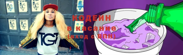 твердый Дмитровск
