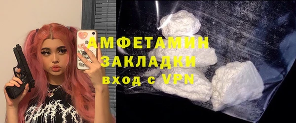 индика Дмитриев